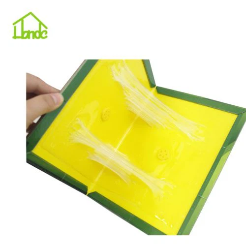 Byrddau Trap Llygoden Cardbord Glu Trap