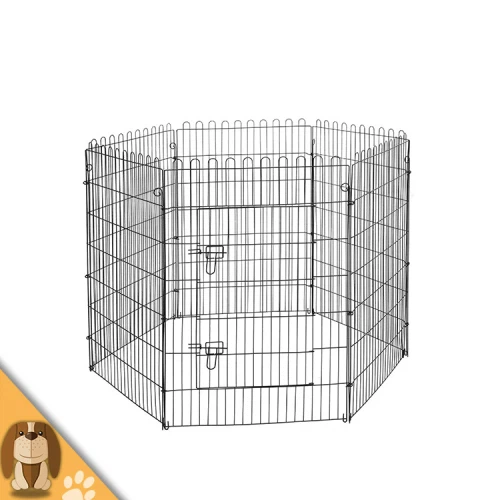 Plygu Arian Cŵn Pêl Arian