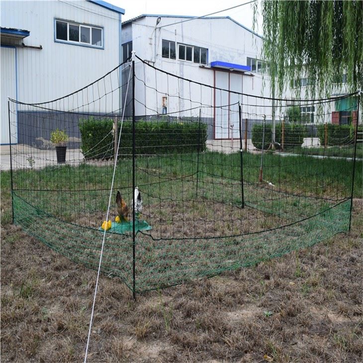 Black & Green Plastic Chicken Fence