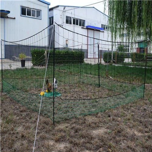 Rhwydi Dofednod Trydan Mewn 24m