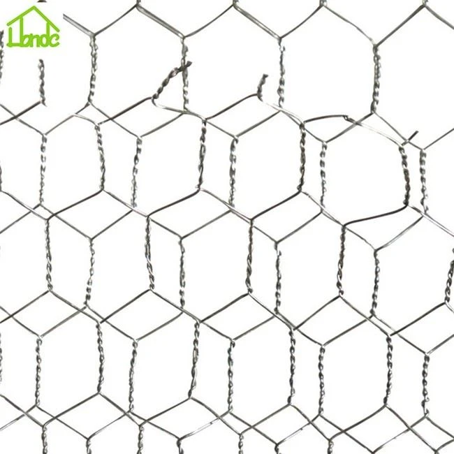 Hexagonal Wire Mesh Pvc Coated Wire Mesh