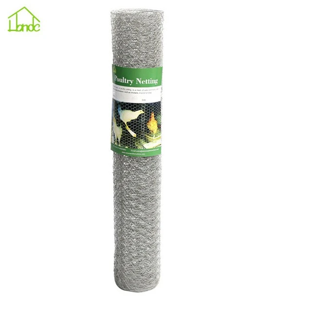 Hot-dipped Galvanized Hexagonal Wire Mesh Woven Hexagonal Mesh