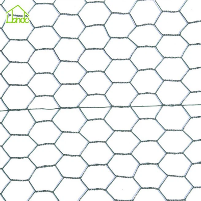 Hot Dip Galvanized Hexagonal Net With Good Corrosion Resistance